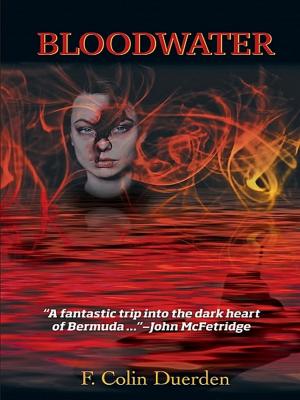 Cover of the book Bloodwater by Ronald Paxton