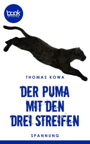 Cover of the book Der Puma mit den drei Streifen by Monika Detering