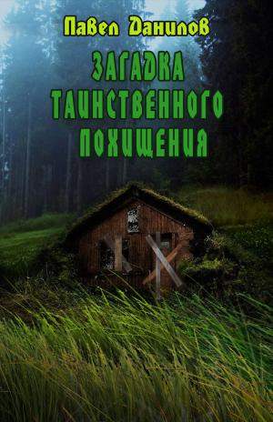 Cover of the book Загадка таинственного похищения by Петр Козлов, Petr Kozlov