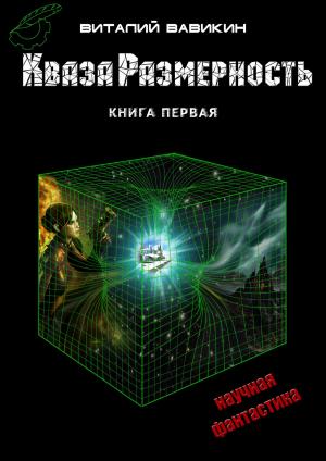 Book cover of КвазаРазмерность