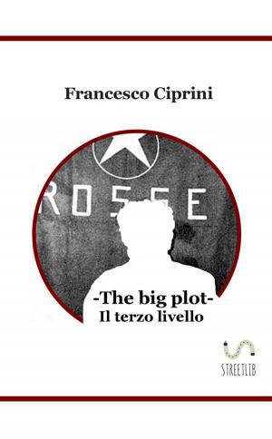 Cover of the book The big plot - Il terzo livello by Marco D. Rogers