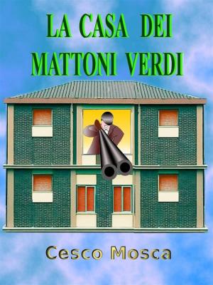Cover of the book La casa dei mattoni verdi by David Hernandez