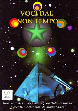 Cover of the book Voci dal non tempo by Platon