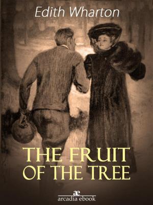 Cover of the book The Fruit of the Tree by Captain Charles King