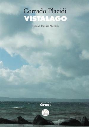 Cover of the book Vistalago by Franziska Krug