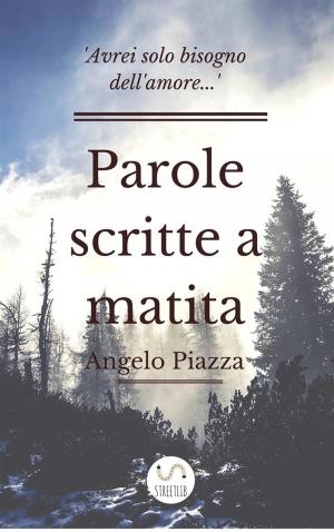 Cover of the book Parole scritte a matita by Vincenzo Mercolino