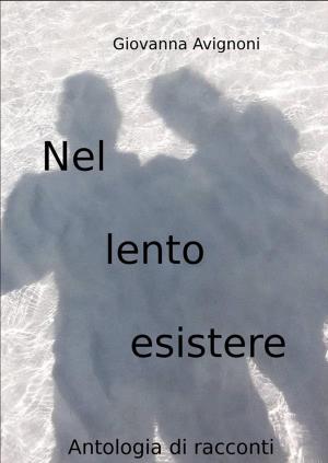 Cover of the book Nel lento esistere by Tussila Spring