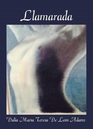 Cover of the book Llamarada by Phoebe Walsh