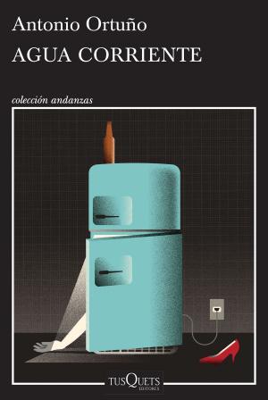 Cover of the book Agua corriente by Rubén Sánchez