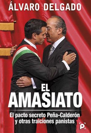 Cover of El amasiato.