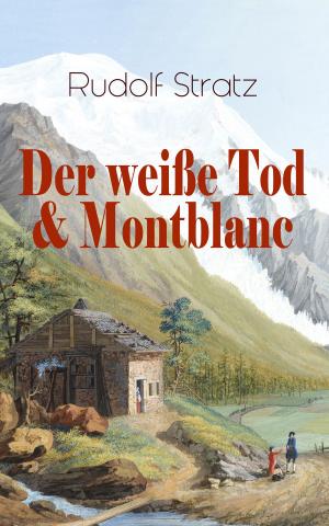 Cover of the book Der weiße Tod & Montblanc by Jack London