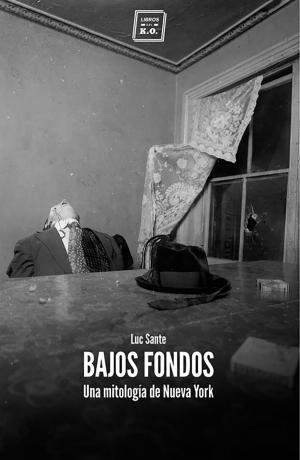 Cover of the book Bajos fondos by Sergio Cortina