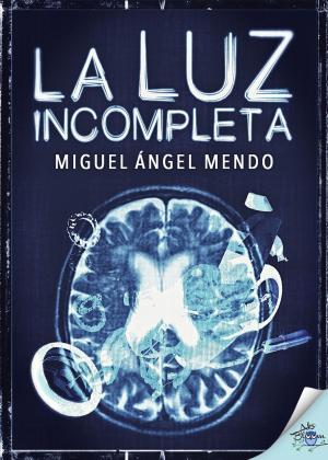 Cover of the book La luz incompleta by Ignacio Sanz, Ana González Lartitegui