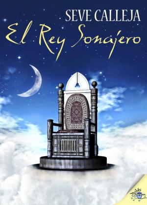Cover of the book El rey sonajero by Amaya Áriz