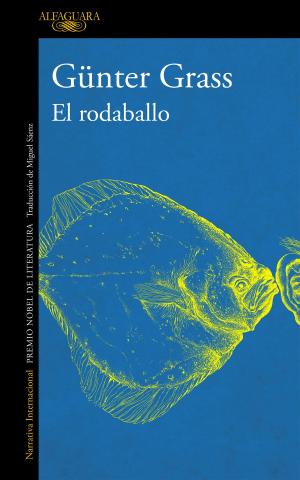 Cover of the book El rodaballo by Raquel Díaz Reguera