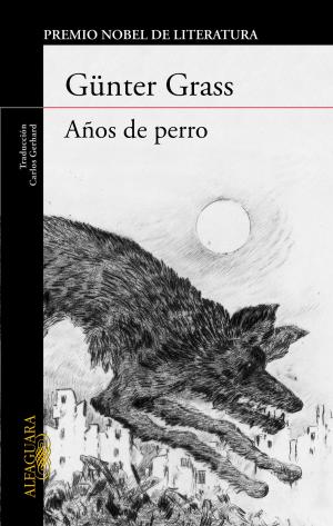 Cover of the book Años de perro (Trilogía de Danzig 3) by Anne Holt