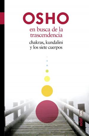 Book cover of En busca de la trascendencia. Chakras, kundalini y los siete cuerpos
