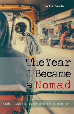Cover of the book The Year I Became a Nomad by Cynthia Fletcher Rothstein