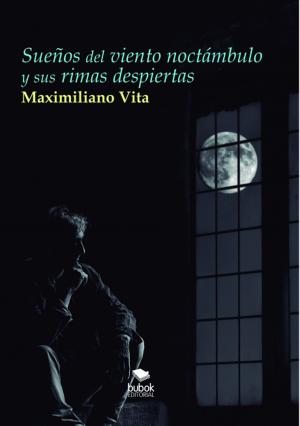 Cover of the book Sueños del viento noctámbulo y sus rimas despiertas by Anne Aband
