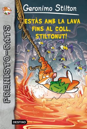 Cover of the book Estàs amb la lava fins al coll, Stiltonut! by Màrius Serra.