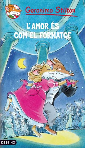 Cover of the book 13- L'amor és com el formatge by Andrea Pau