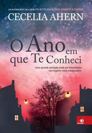 Book cover of O Ano em que te conheci