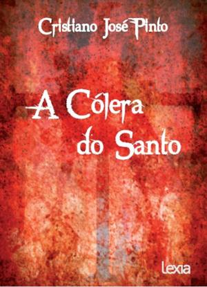 Cover of the book A Cólera do Santo by Edinaldo Silva