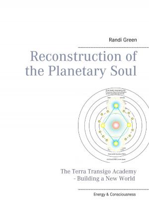 Cover of the book Reconstruction of the Planetary Soul by Yei Theodora Ozaki