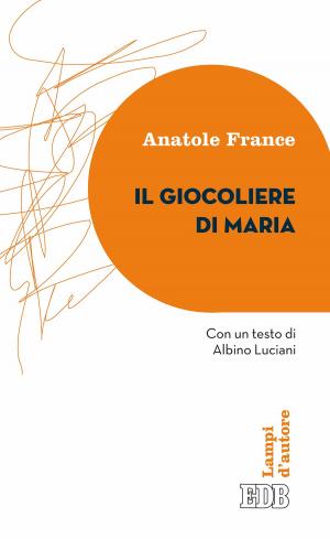 Book cover of Il giocoliere di Maria