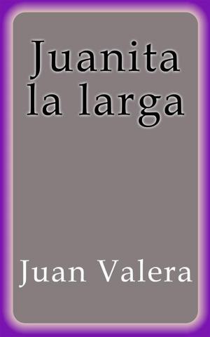 bigCover of the book Juanita la larga by 