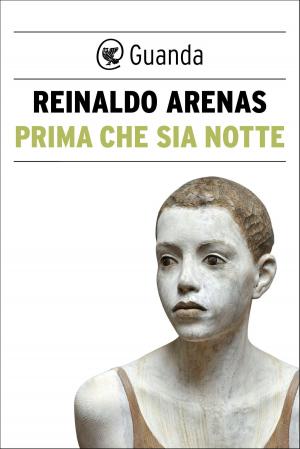 Cover of the book Prima che sia notte by Marco Belpoliti