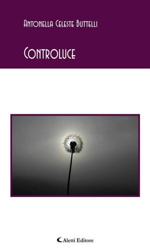 Cover of the book Controluce by Stefano Danzi