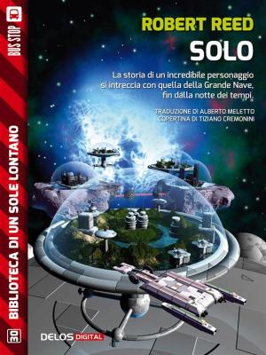 Cover of the book Solo by Charmain Marie Mitchell