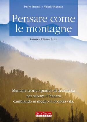 Cover of the book Pensare come le montagne by Francesca Durastanti, Chiara de Santis, Giuseppe Orefice, Silvia Paolini, Margherita Rizzuto