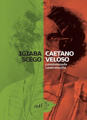 Cover of the book Caetano Veloso by Mats Holm