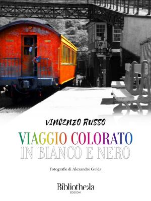 Cover of the book Un viaggio colorato in bianco e nero by Giovanna Profilio