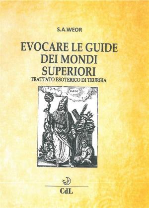 Book cover of Evocare le guide dei mondi superiori