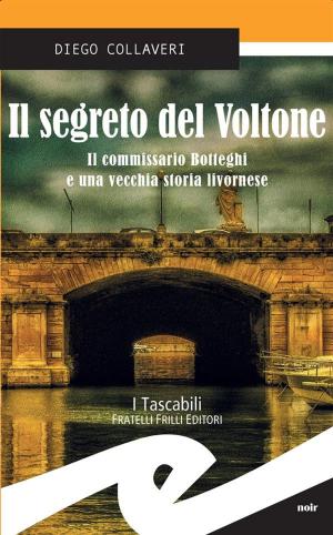 Cover of the book Il segreto del Voltone by Caron Antonio