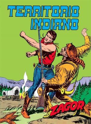 bigCover of the book Zagor. Territorio indiano by 