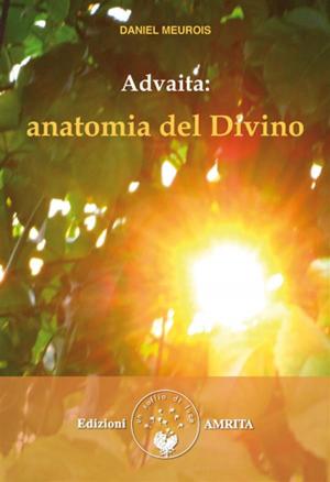 Cover of the book Advaita: anatomia del Divino by B. Alan Wallace