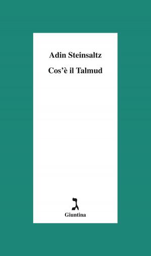 Book cover of Cos'è il Talmud