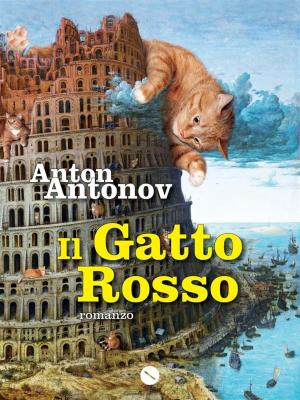 Cover of the book Il gatto rosso by Pierre La Mure