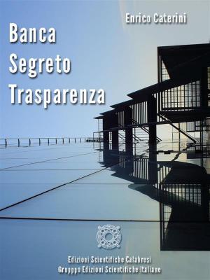Cover of the book Banca, segreto, trasparenza by Felice Costabile, Rossella Laurendi