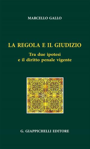 Cover of the book La regola e il giudizio by Stefano Sandri