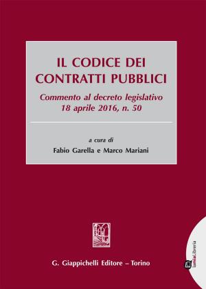 Book cover of Il codice dei contratti pubblici