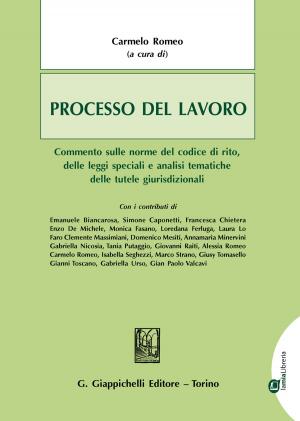 Cover of the book Processo del lavoro by massimo Brutti, Italo Birocchi, Emanuele Stolfi