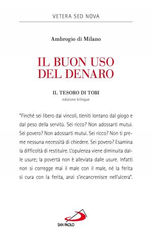 Cover of the book Il buon uso del denaro. Il tesoro di Tobi by AA.VV.