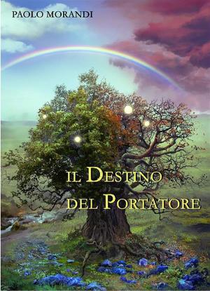 Book cover of Il destino del portatore