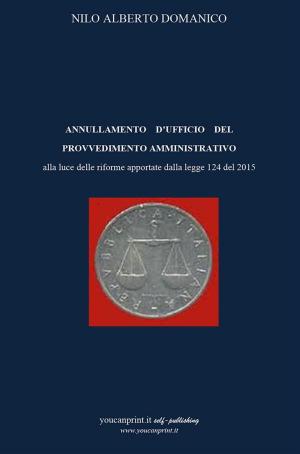 Cover of the book Annullamento d'ufficio del provvedimento amministrativo alla luce delle riforme apportate dalla legge 124 del 2015 by C. Boyer