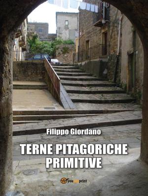 Cover of the book Terne pitagoriche primitive by Ernesto Bozzano